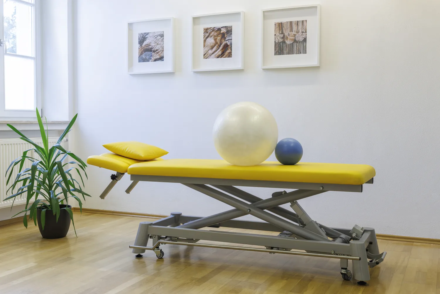 Behandlungsraum der Praxis mit höhenverstellbarer Behandlungsbank, Gymnastikball und Pflanze